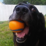 i love my ball